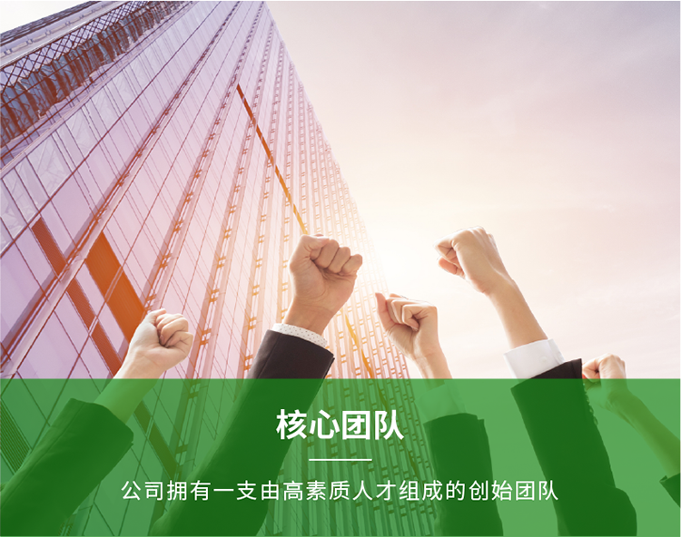 核心团队